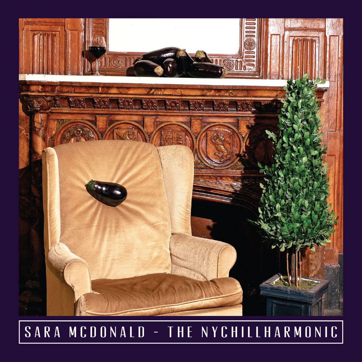 Sara McDonald's The NYChillharmonic CD Review
