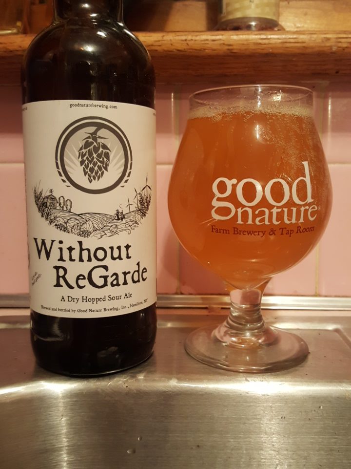 Without ReGarde (Dry Hopped Sour Ale)